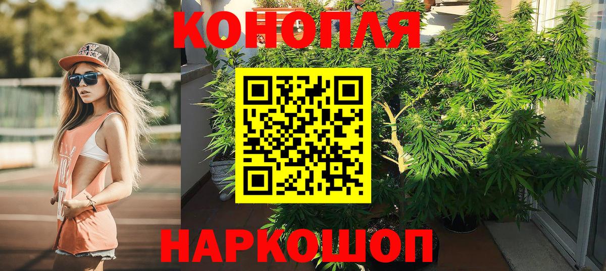 Каннабис ГИДРОПОН Фролово